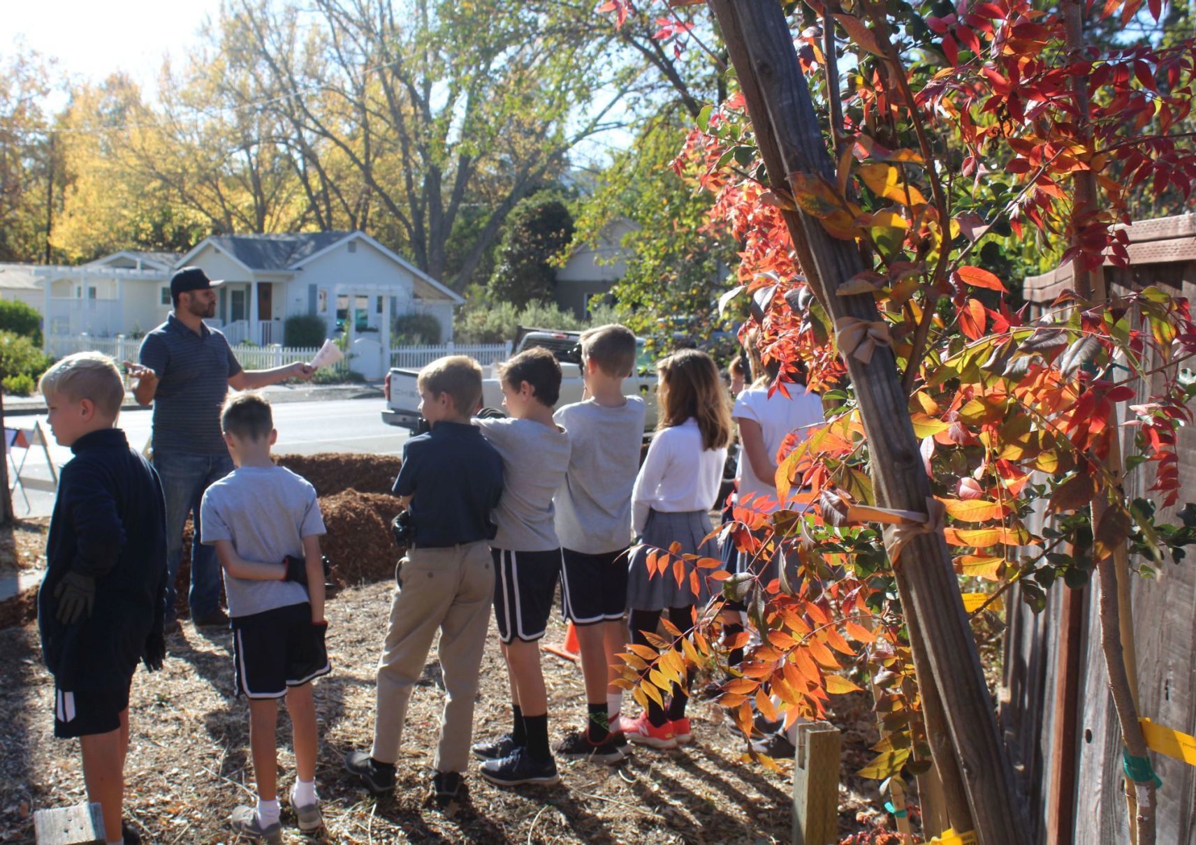 Arbor Day